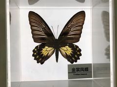 -杭州西湖博物馆总馆