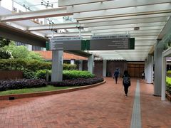 -香港大学