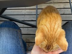 -暹罗酒肆泰餐厅酒吧