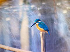 -白塘生态植物园