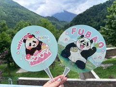 -卧龙中华大熊猫苑神树坪基地