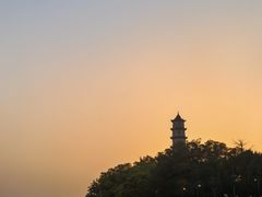 -江心屿景区