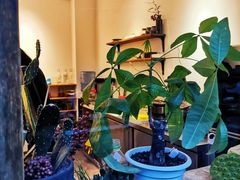 -朵朵开素食餐厅(后宰门街店)