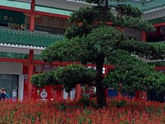 -市中心风采楼步行街