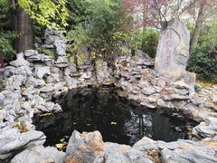 -徐州龟山景区