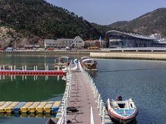 -大连老虎滩海洋公园