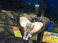 -蚝专家(北滘店)