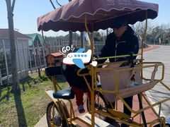 -上海长兴岛郊野公园