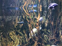 -华夏文旅海洋公园