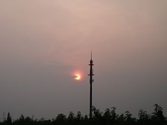 -樂桃源奉贤黄桃种植采摘基地