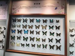 -吉林省自然博物馆