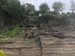 -广州莲花山旅游区