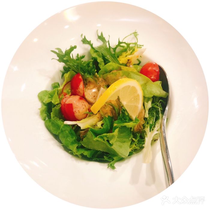 TUK土耳其餐厅·下午茶(卢湾店)秘制沙拉图片