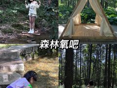 -洛阳白云山景区