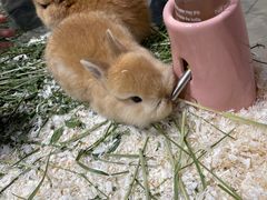 -龙猫仔乐园(惠福东路店)