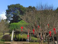 -广州市白云山风景名胜区