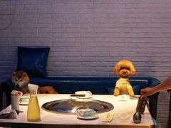 -红井路游艺炖锅·音乐餐吧(十渡店)