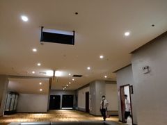 -大光明新国际影城(青浦吾悦店)