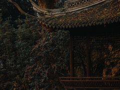 -秋霞圃
