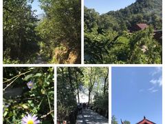 -云碧峰国家森林公园