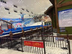 -湘江欢乐城欢乐雪域
