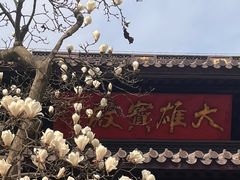 -灵谷景区