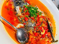 -坛宗剁椒鱼头(河西王府井店)