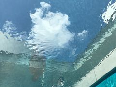 -金泽21世纪美术馆