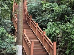 -绵阳人民公园(涪城区)