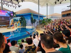 -三亚海昌梦幻海洋不夜城