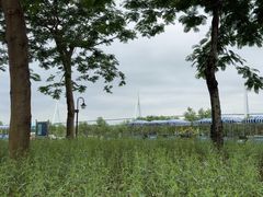 -芒洲湿地公园
