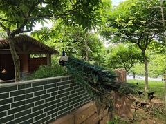 -佛冈森波拉度假区