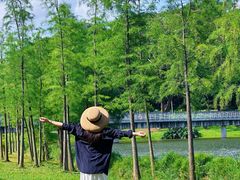 -东莞植物园
