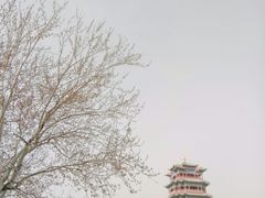 -永定河休闲森林公园