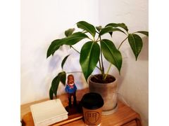 -MAISON门前杂货店