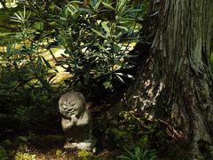 -三千院