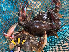 -庆山饭店·海鲜饺子家常菜(北戴河黑石路店)