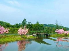 -常德桃花源景区