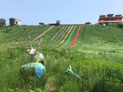 滑草-南戴河国际娱乐中心