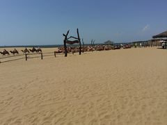 -黄沙古渡原生态旅游区