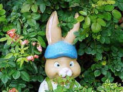 -人民公园(罗湖区)