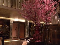 -金轩中餐厅 Jin Xuan(浦东丽思卡尔顿酒店)