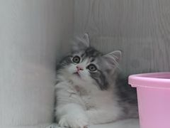 -乐宠宠物店(世纪金源店)