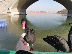 -天津东丽湖风景区