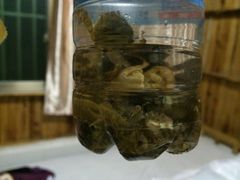 西冲沙滩-西涌国际滨海旅游区