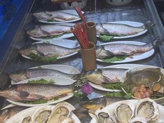 -齐河·老东家·民间菜·地标特色美食