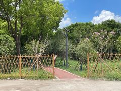 -马陆小张葡萄园农家乐