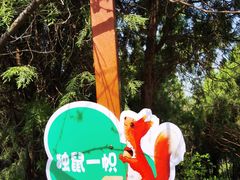 -佛慧山