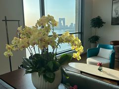 -苏州洲际酒店·大堂酒廊