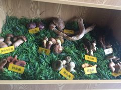 野生菌火锅-菌海森林·非遗野生菌火锅(西山区滇池路摩根道店)